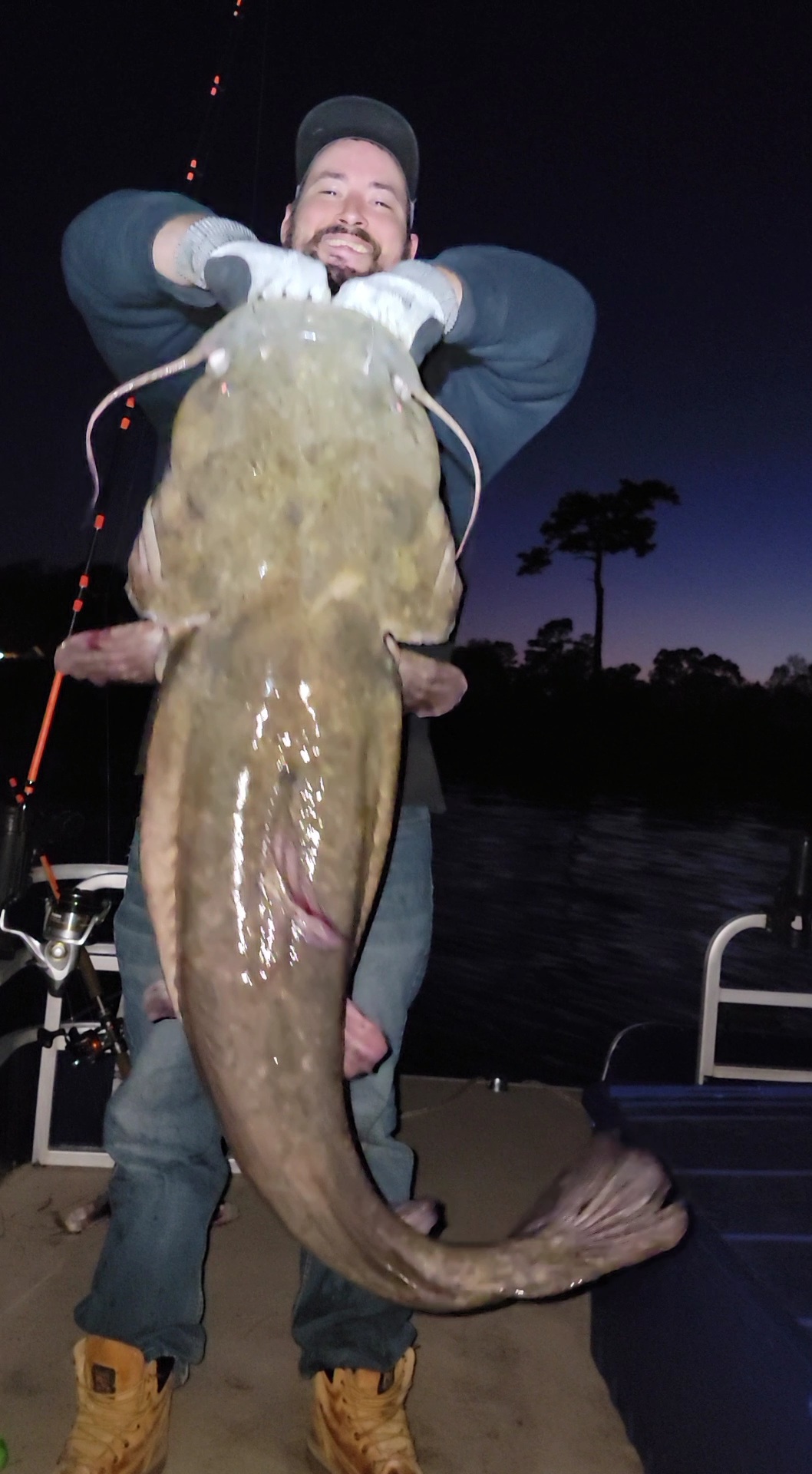 43 lb Flathead Catfish at Santee